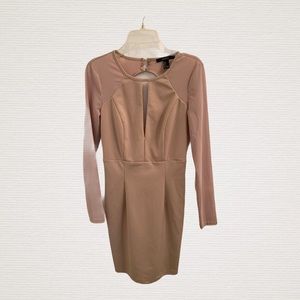 Forever 21 Pink Bodycon Dress Long Mesh Sleeves